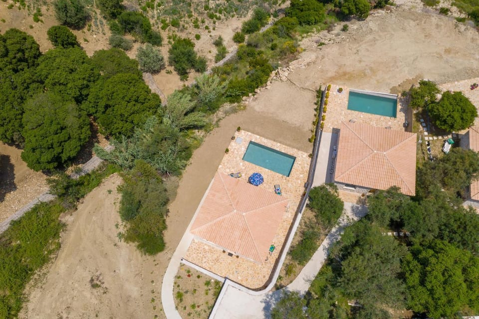 Bird's eye view, Garden view