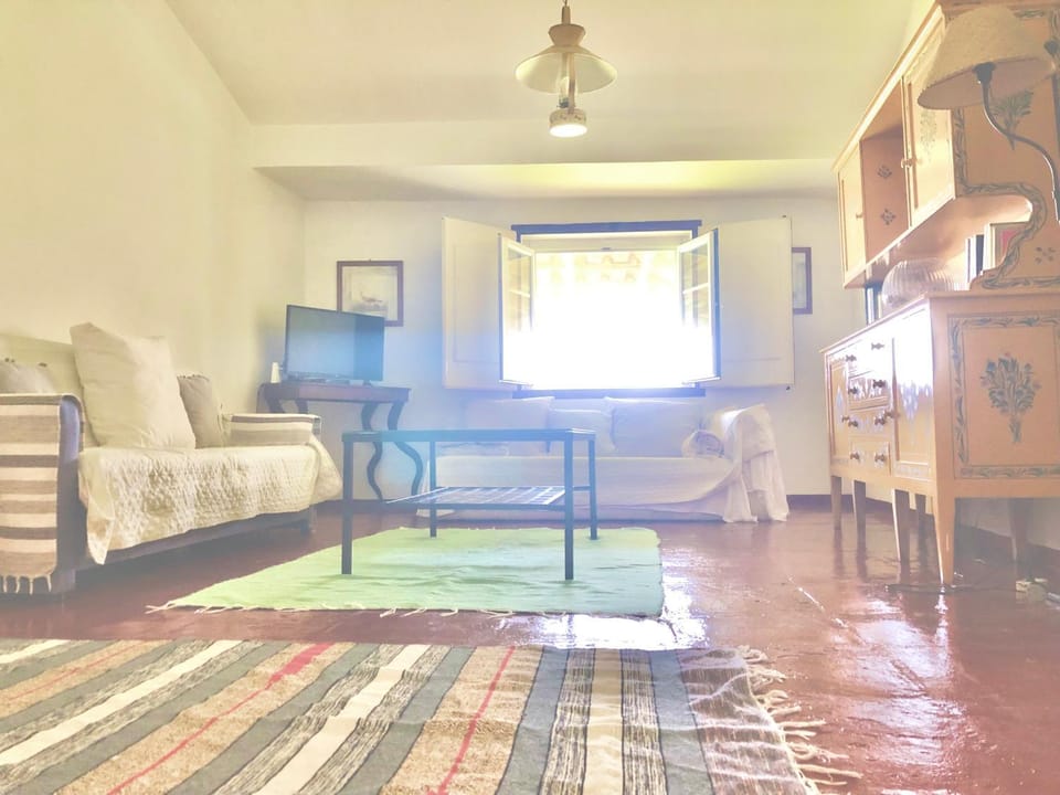 Monte da Oliveirinha Farm Stay in Évora District, Portugal