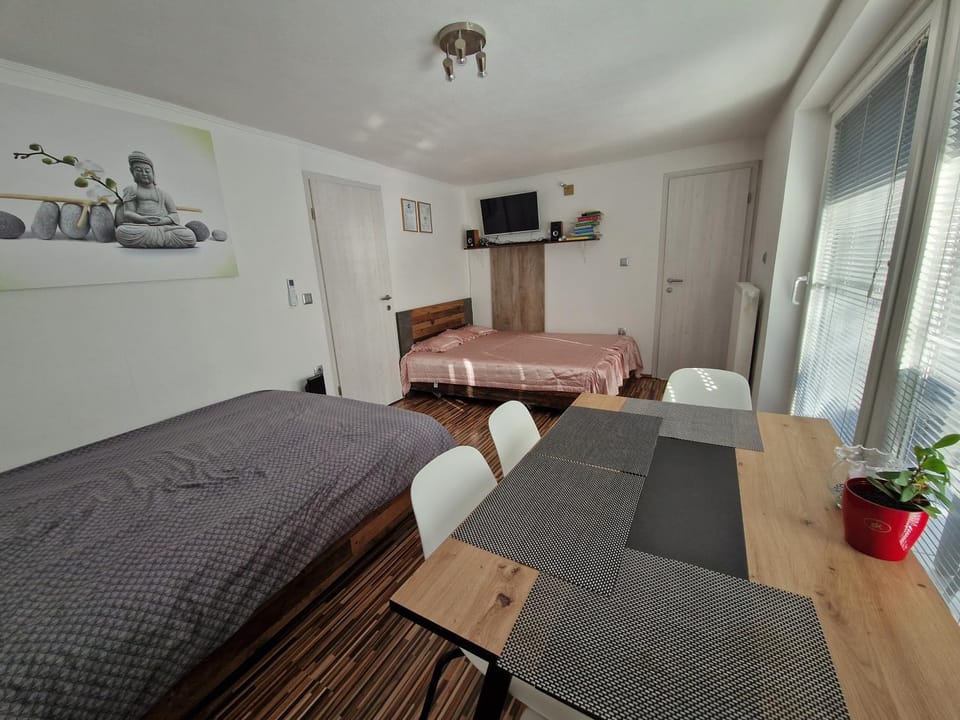 Apartment Dolce Vita Apartment in Slovenia