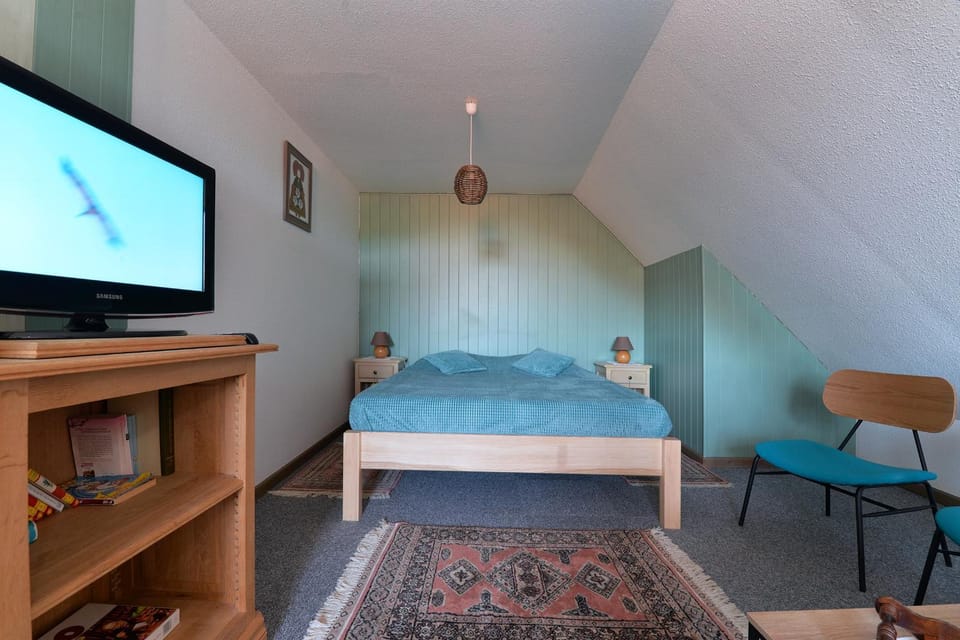 Bed, TV and multimedia, Photo of the whole room, Bedroom