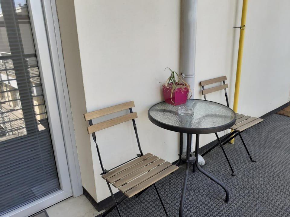 Rustic Studio Apartment in Timisoara