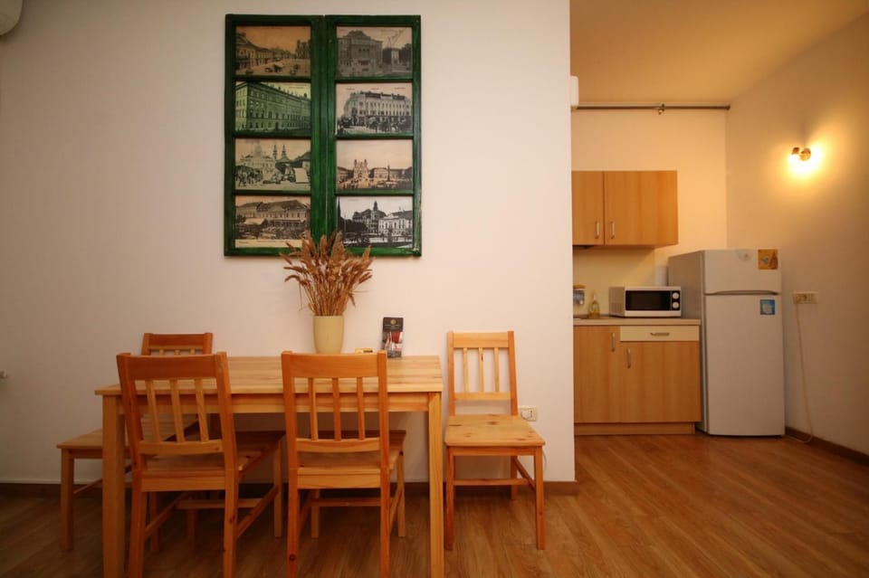 Rustic Studio Apartment in Timisoara