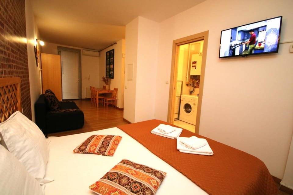 Rustic Studio Apartment in Timisoara