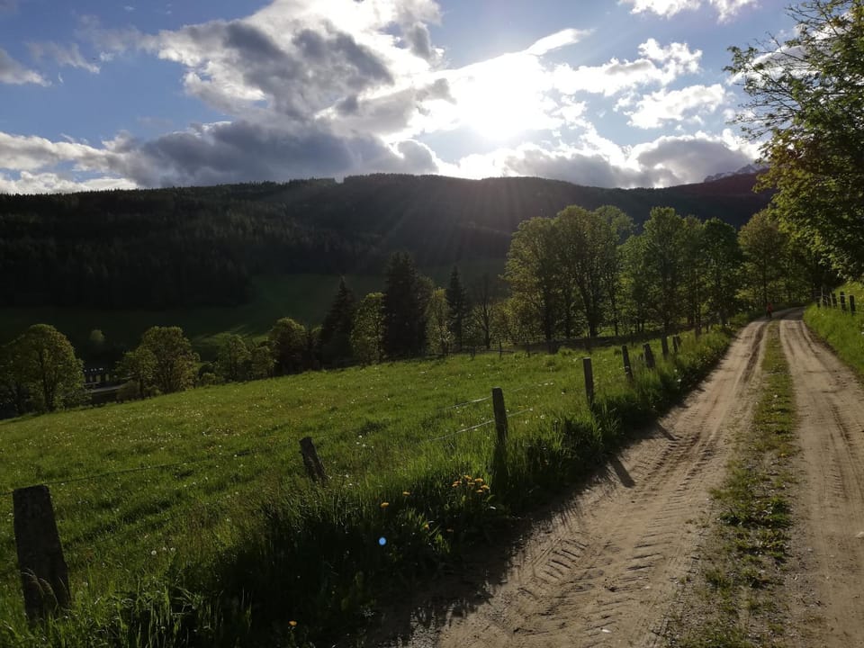 Natural landscape, Summer