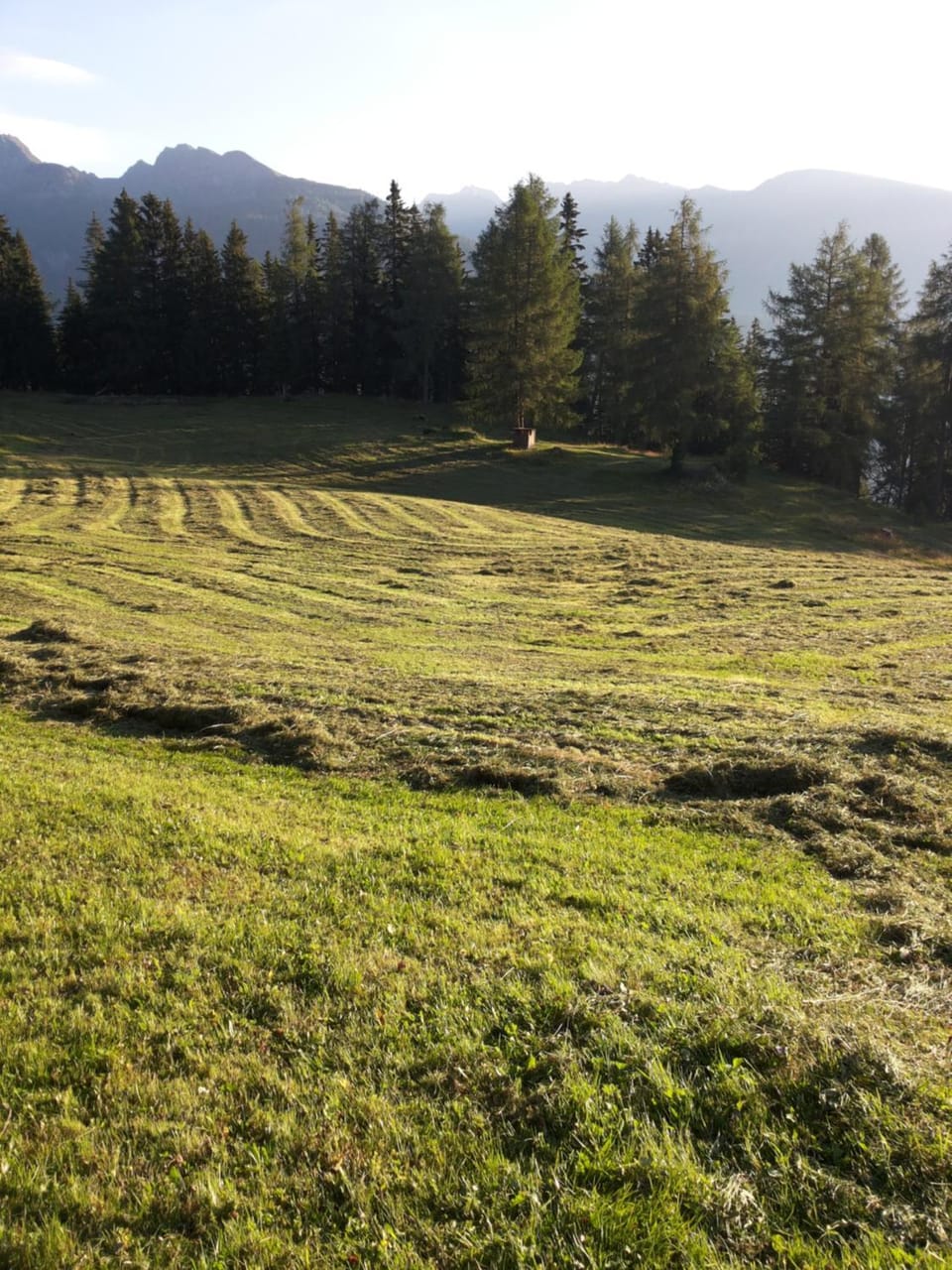 Natural landscape