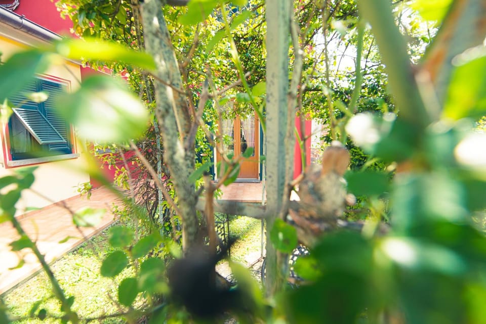 Il Vecchio Noce Bed and Breakfast in Province of Massa and Carrara