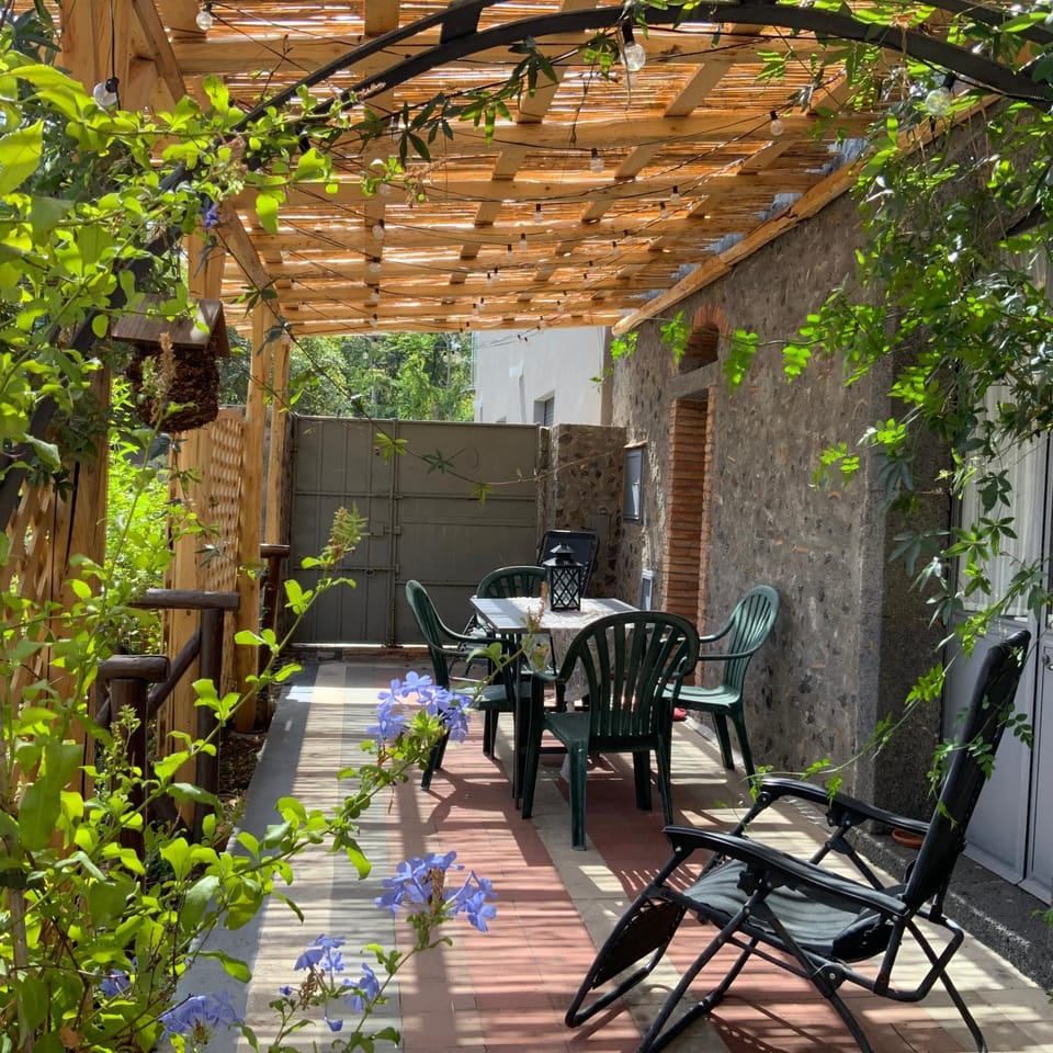 Property building, Patio, Day, Summer, Garden, Garden view