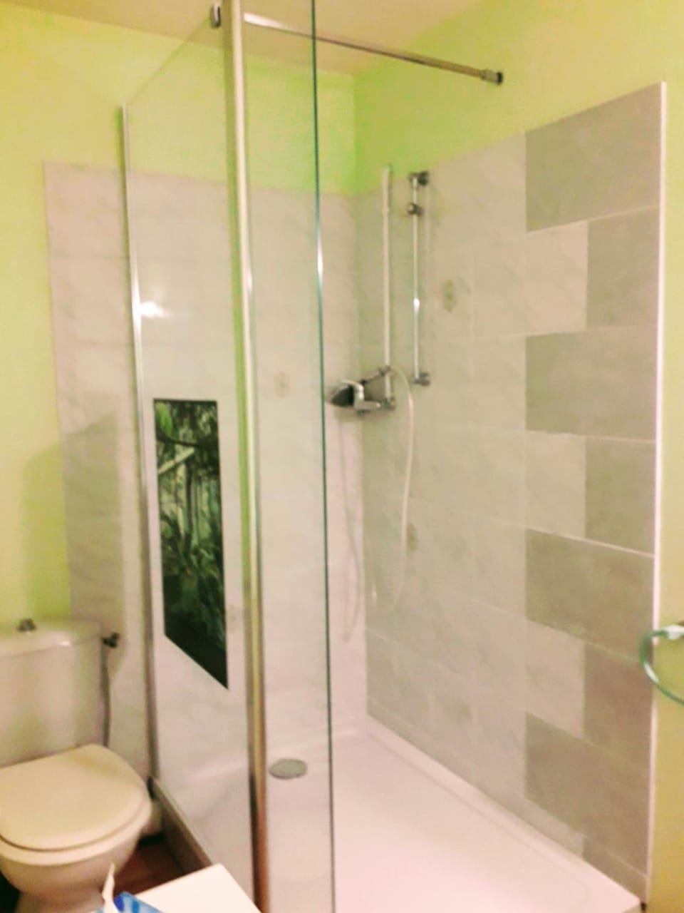 Shower, Toilet