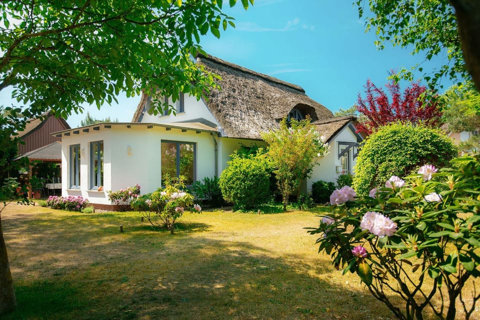 Property building, Facade/entrance, Garden