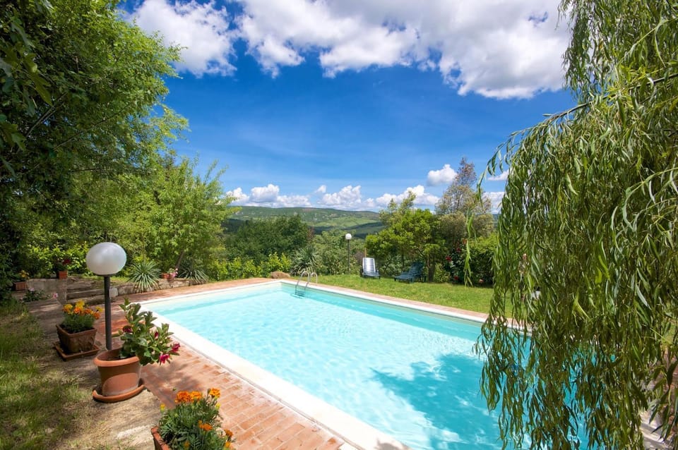 Day, Garden, Mountain view, Swimming pool, sunbed