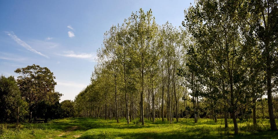 Masseria GiòSole Country House in Campania