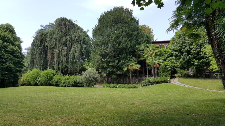 Natural landscape, Summer, Garden