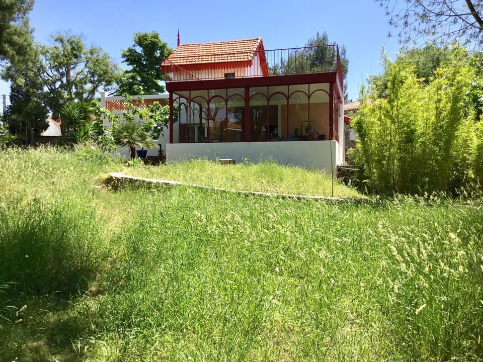 Property building, Garden view