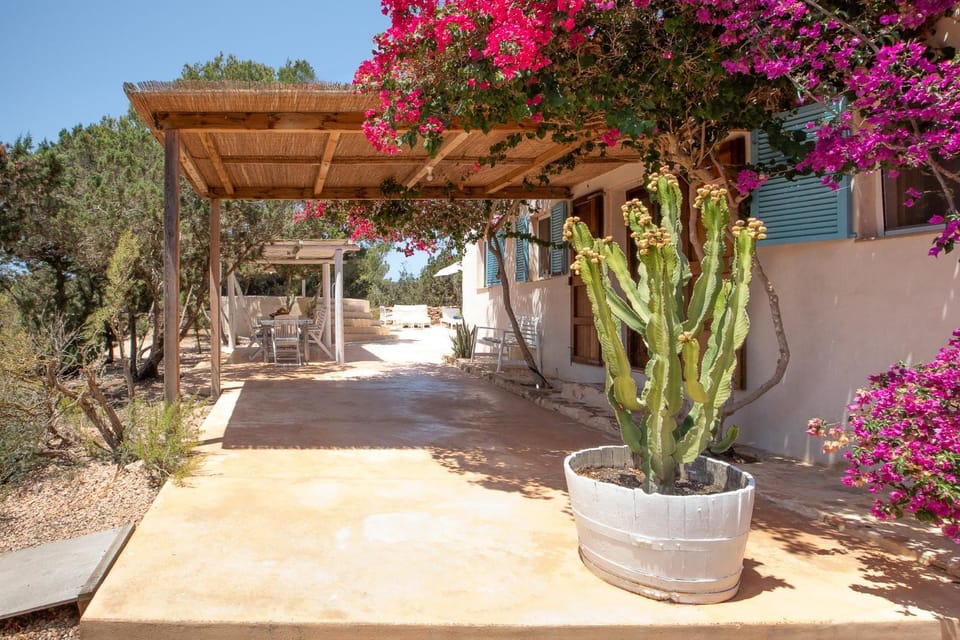 Facade/entrance, Spring, Garden