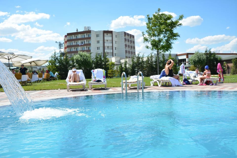 Spring, Day, Garden, Garden view, Pool view, Swimming pool, sunbed