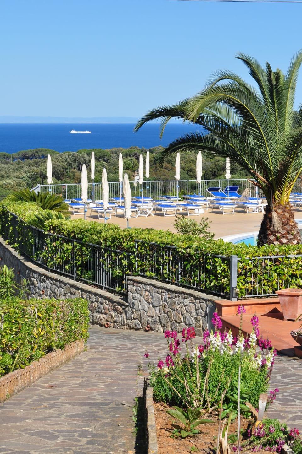 View (from property/room), Pool view