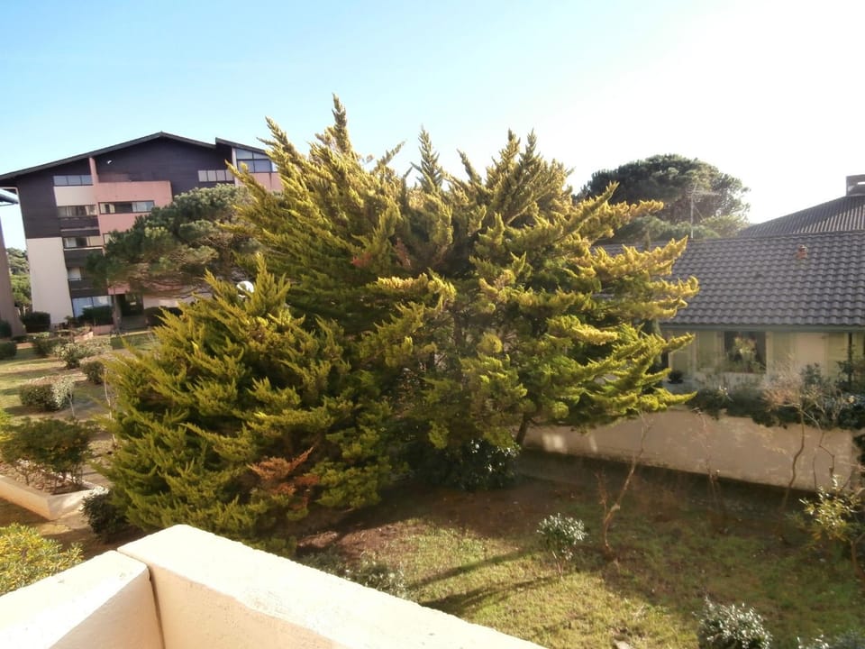 Appartement Rénové avec Balcon, Proche Plage et Marché – 4 Pers, Calme & Confort à Seignosse - FR-1-239-460 Apartment in Seignosse