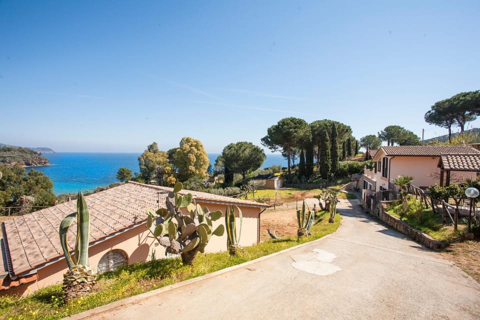 Garden view, Sea view