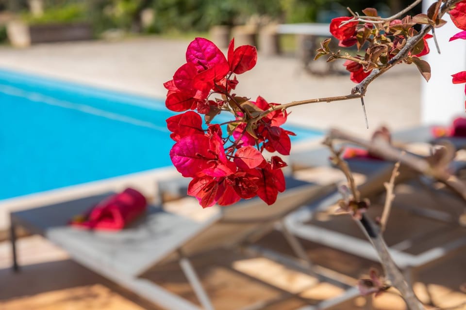 Sa Plana Villa in Llevant