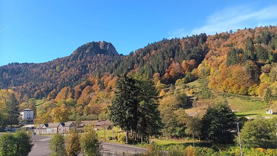 View (from property/room)
