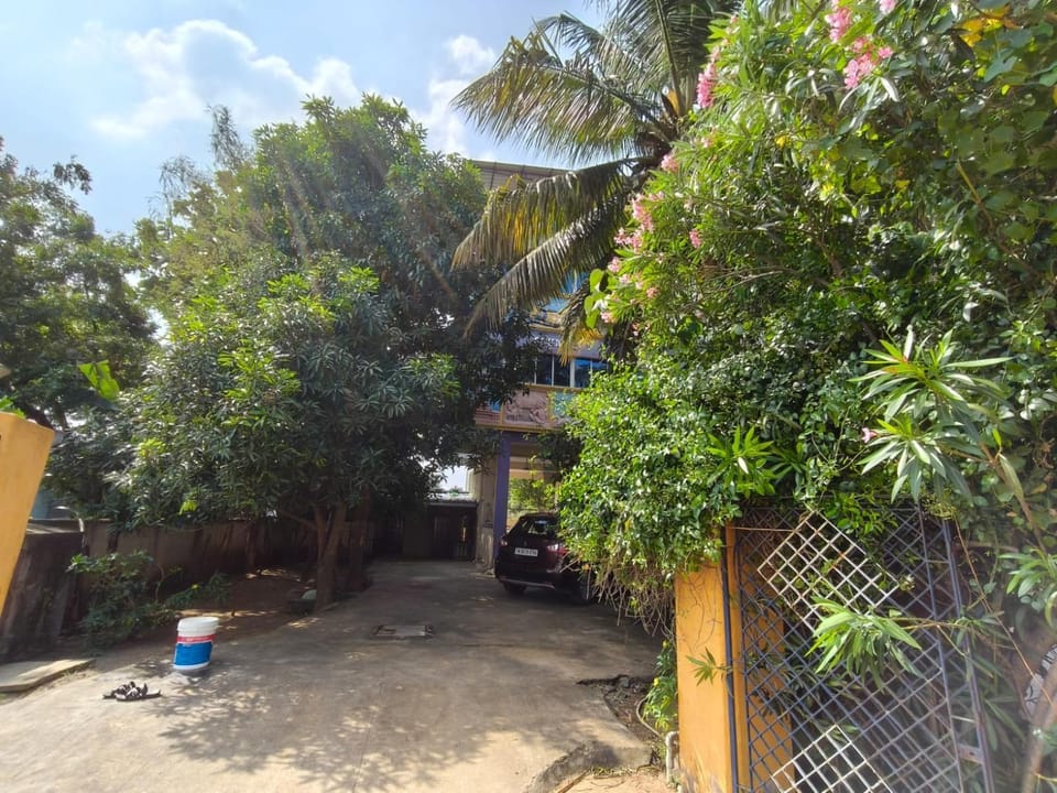Garden, Parking