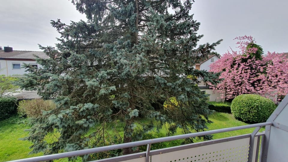 Balcony/Terrace, Landmark view