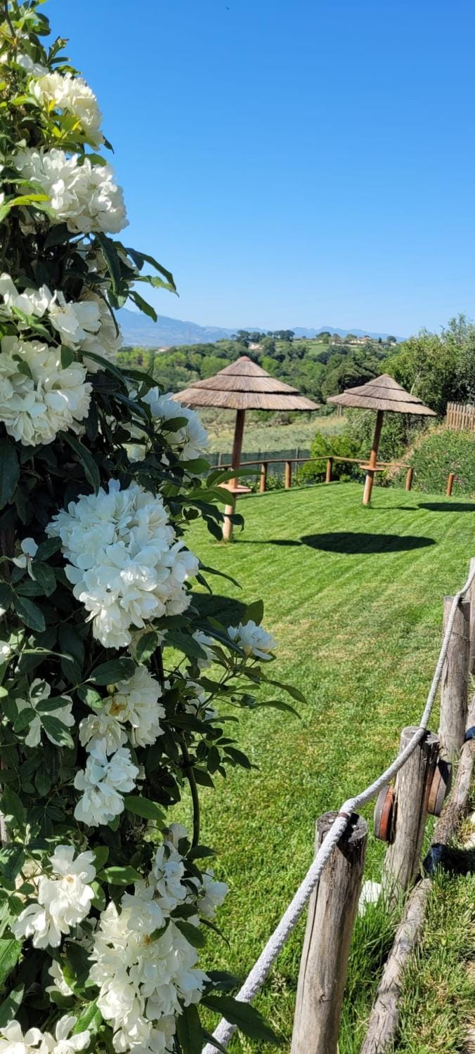 Natural landscape, Garden, Garden view