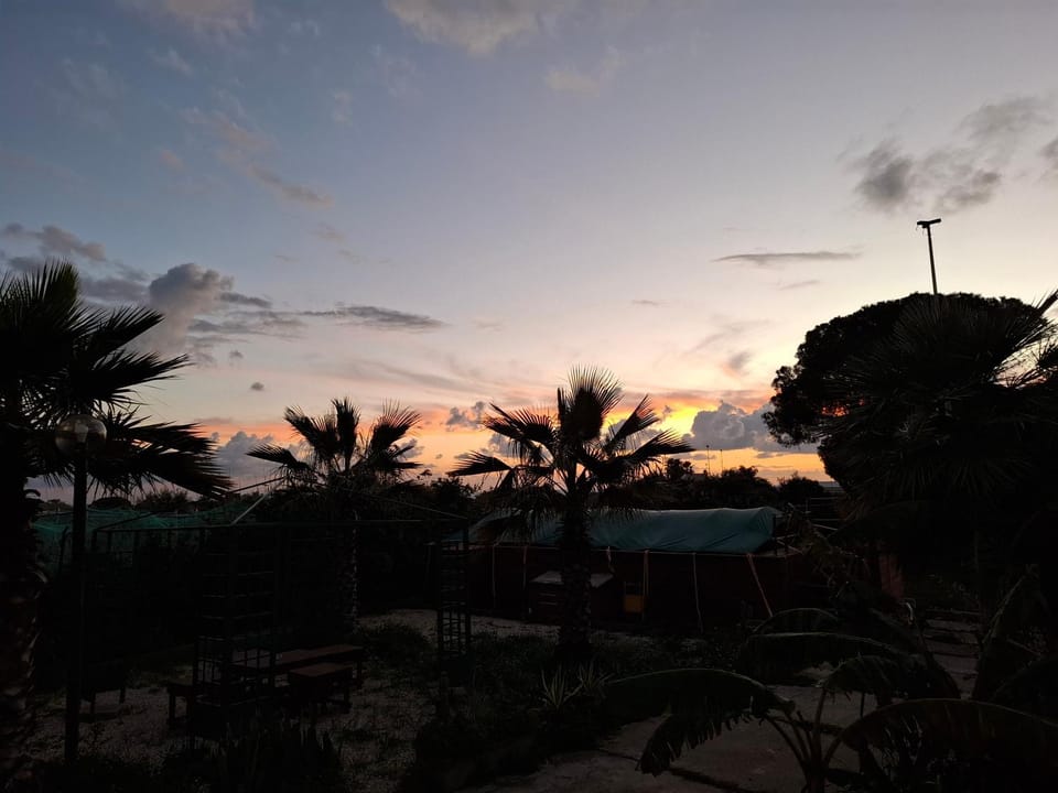 Turtle Island Apartments Bed and Breakfast in Sicily