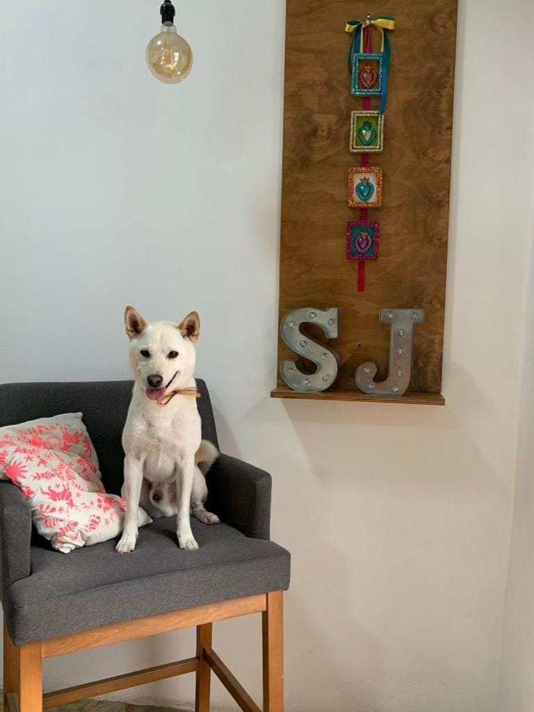 Lobby or reception, Other, Decorative detail, Animals, Pets, pet friendly