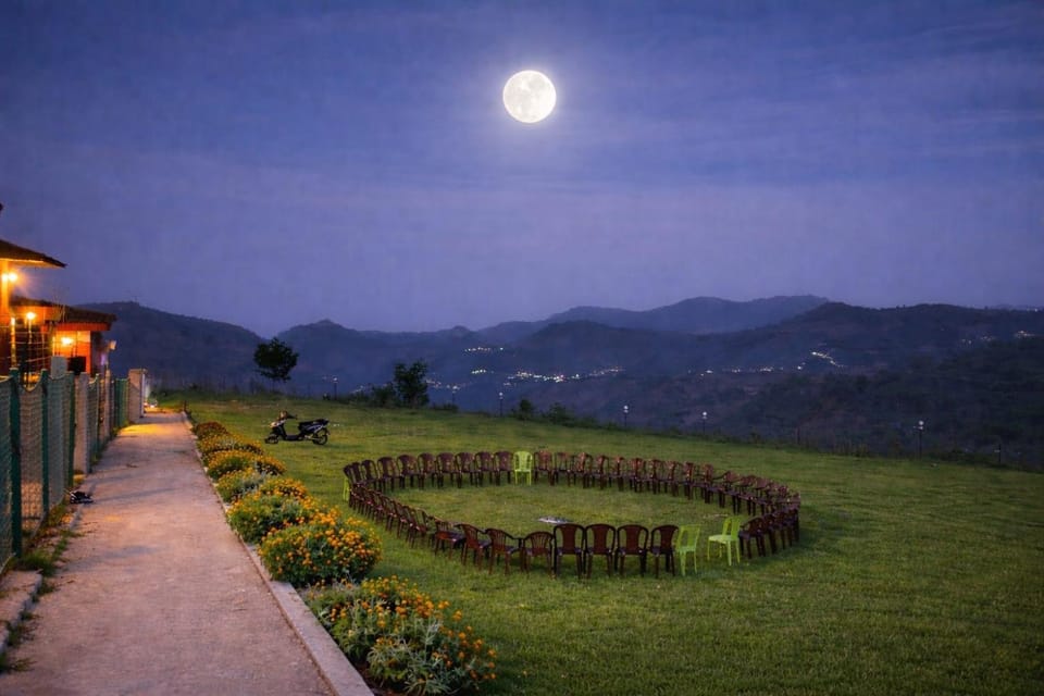 Night, Garden