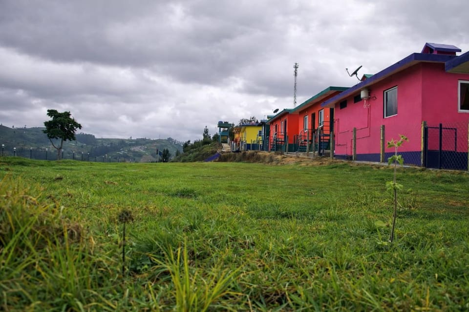 Natural landscape, Garden view