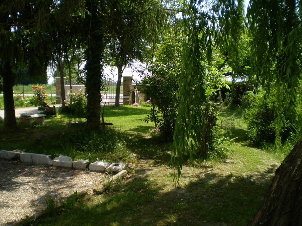 Garden, Garden view