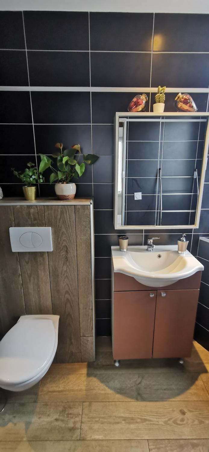 Appartement cocooning avec vue sur les Pyrénées Apartment in Occitanie