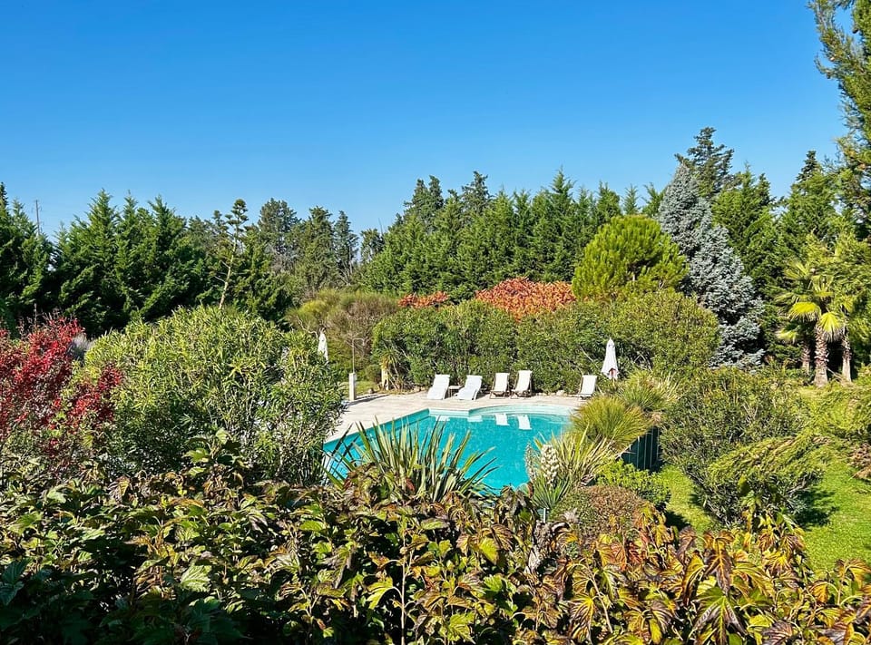 Pool view, Swimming pool