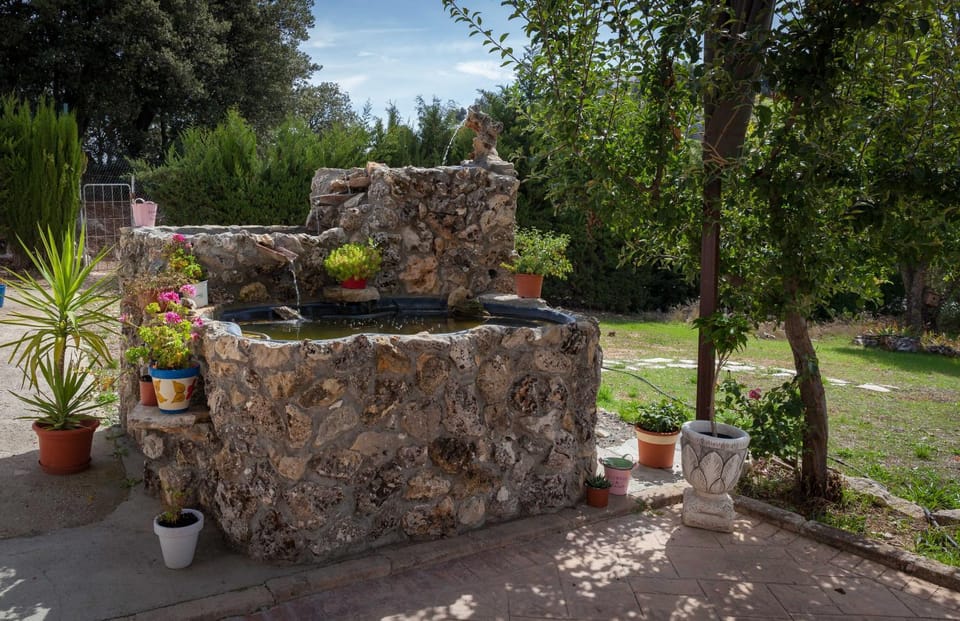 Patio, Garden