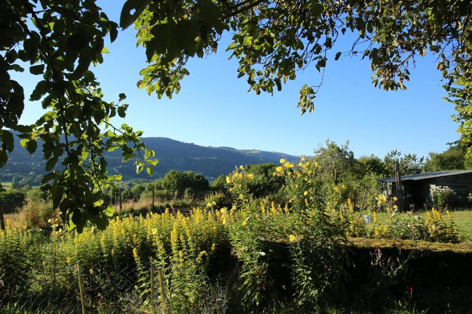 Mountain view