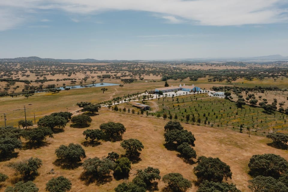 Property building, Off site, Day, Natural landscape, Bird's eye view