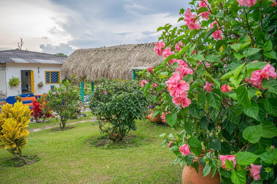 Natural landscape, Garden view