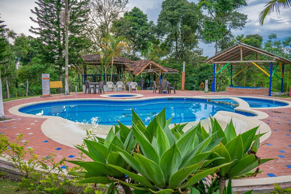 Pool view