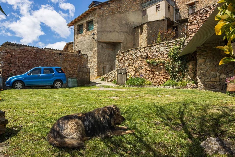 Pets, Garden view, Parking