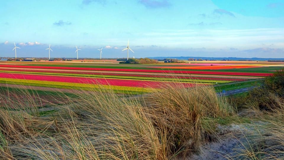 Natural landscape