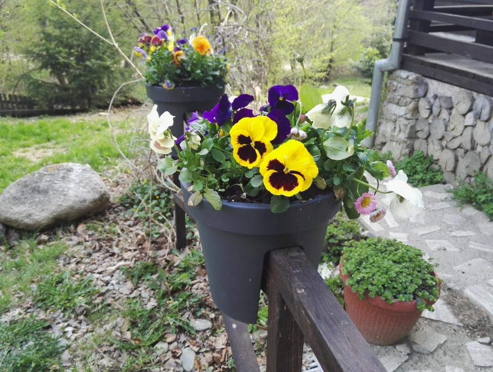 Other, Garden view