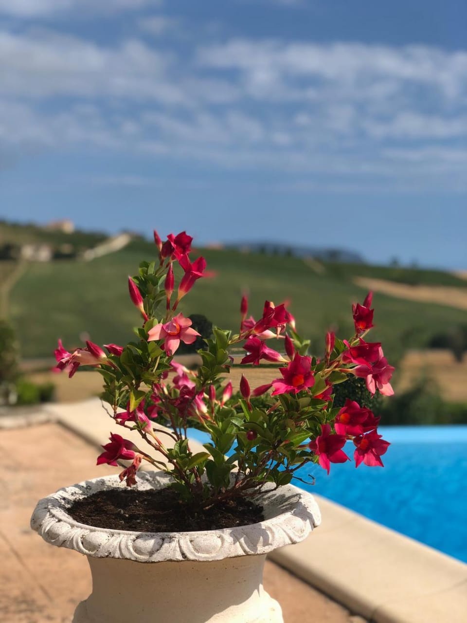 Garden view, Mountain view, Pool view, Swimming pool