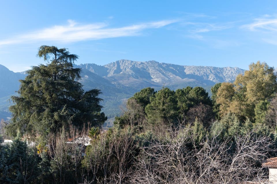 Mountain view