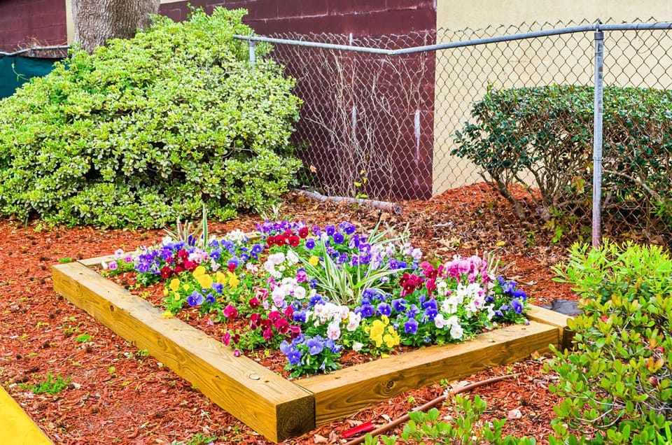Property building, Day, Garden, On site, Garden view, Time of day
