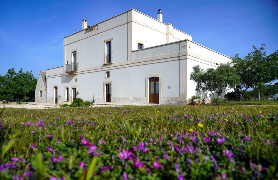 Property building, Spring