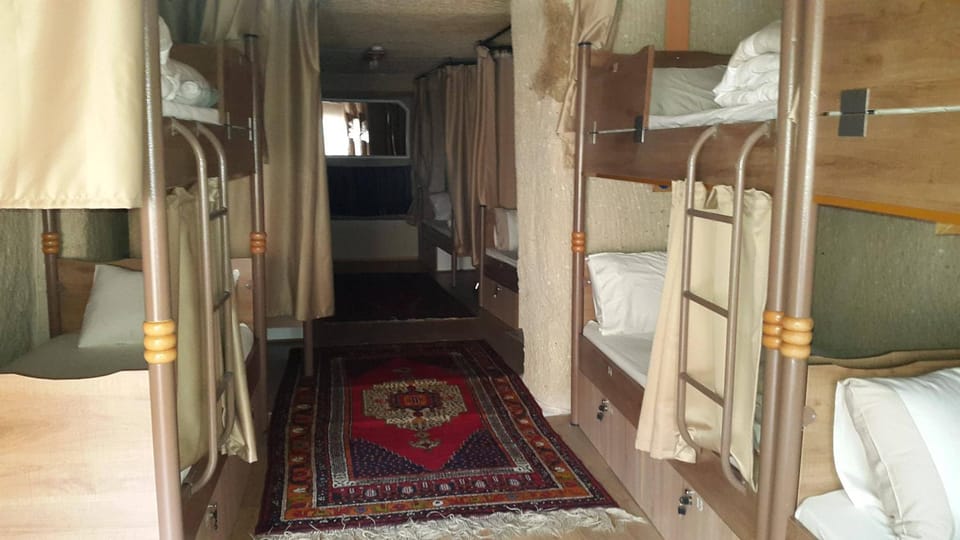 Bed, Photo of the whole room, Seating area, Bedroom, bunk bed