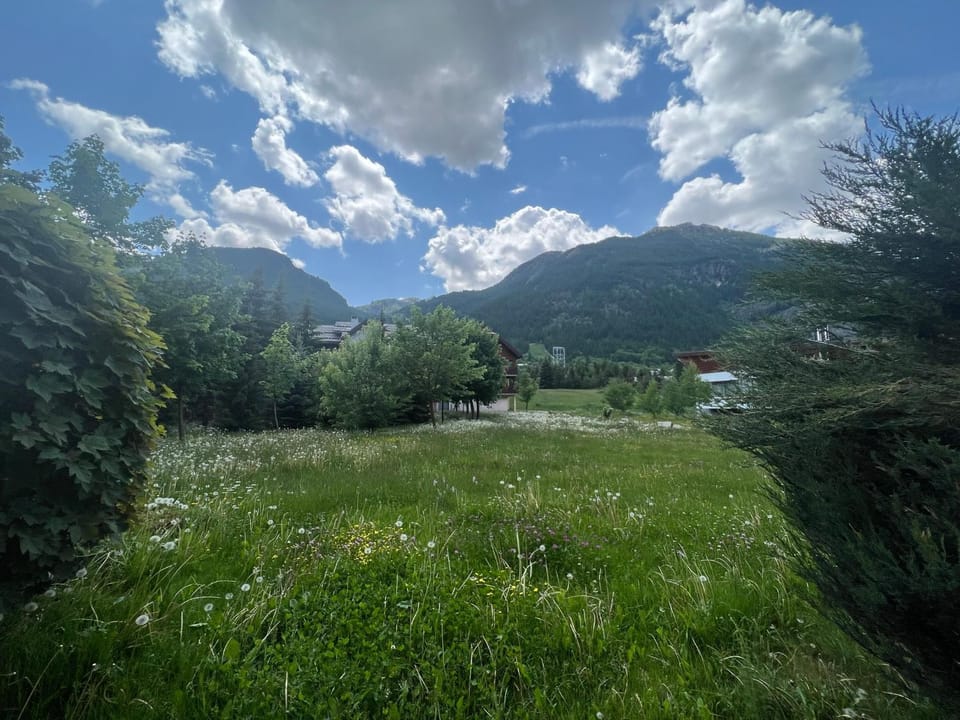 Mountain view