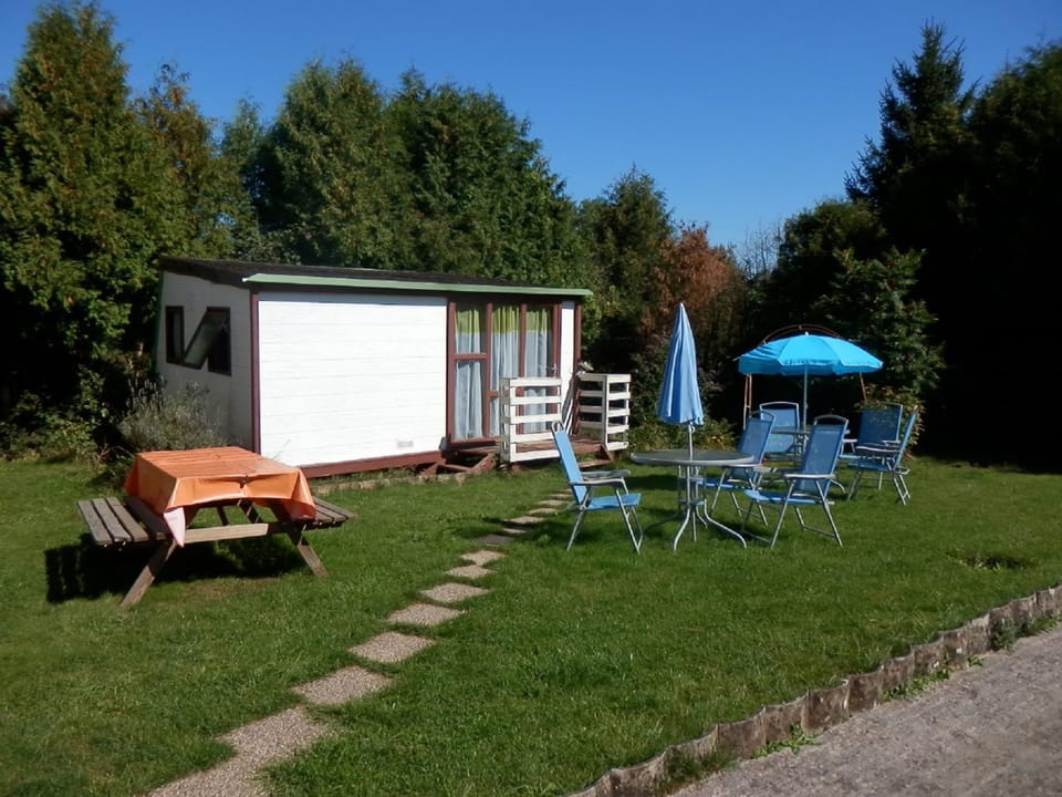 Garden, Swimming pool