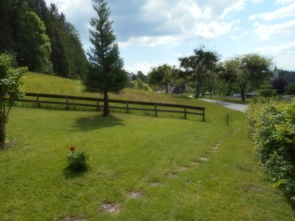Garden view